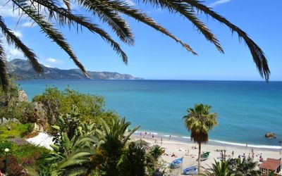 Picturesque sandy beach and deep blue ocean in Málaga, Spain, framed by green palm leaves.